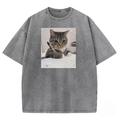 Scholarly Striped Scribe Washed T-shirt