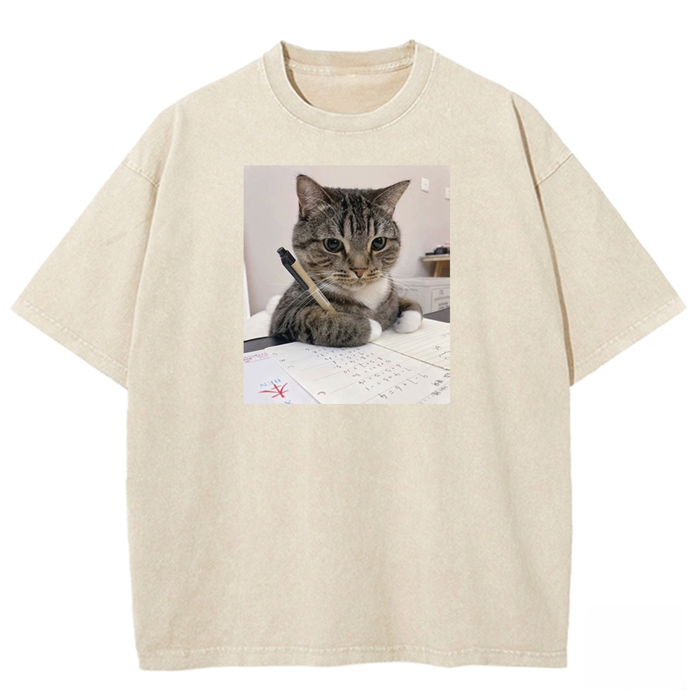Scholarly Striped Scribe Washed T-shirt