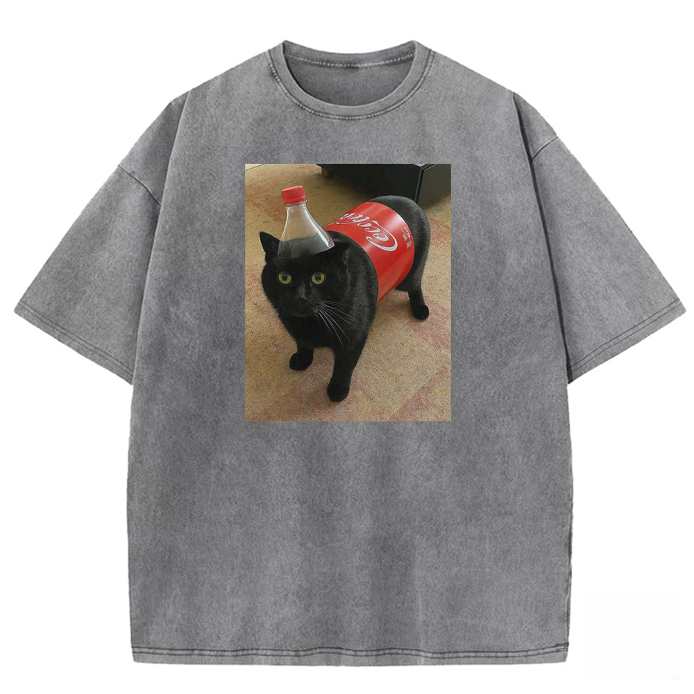 Corporate Mascot Washed T-shirt