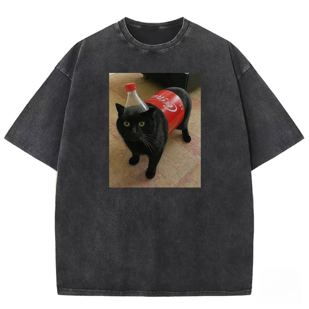 Corporate Mascot Washed T-shirt