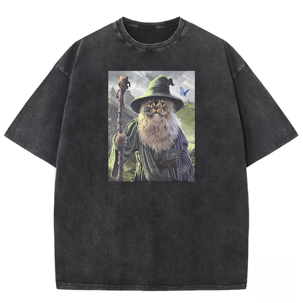 Wizard Cat Sage Washed T-shirt