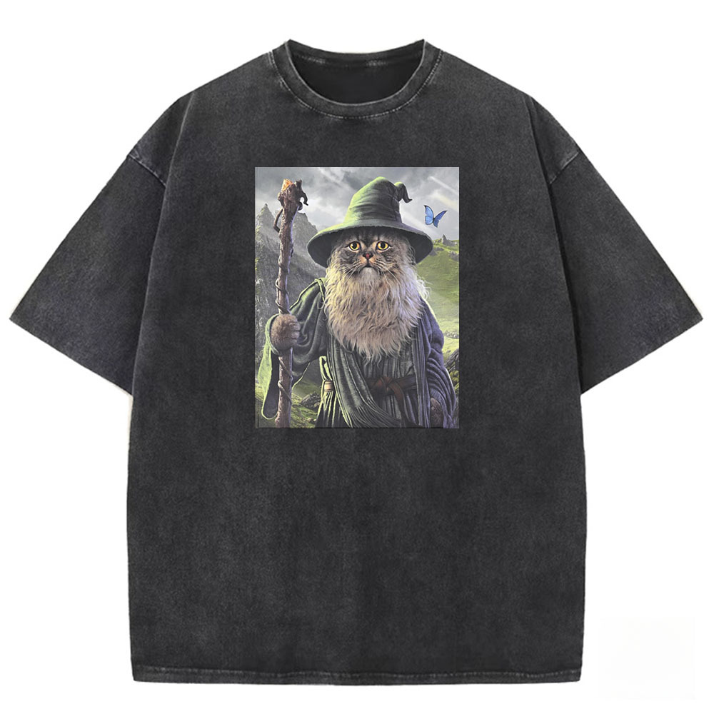 Wizard Cat Sage Washed T-shirt