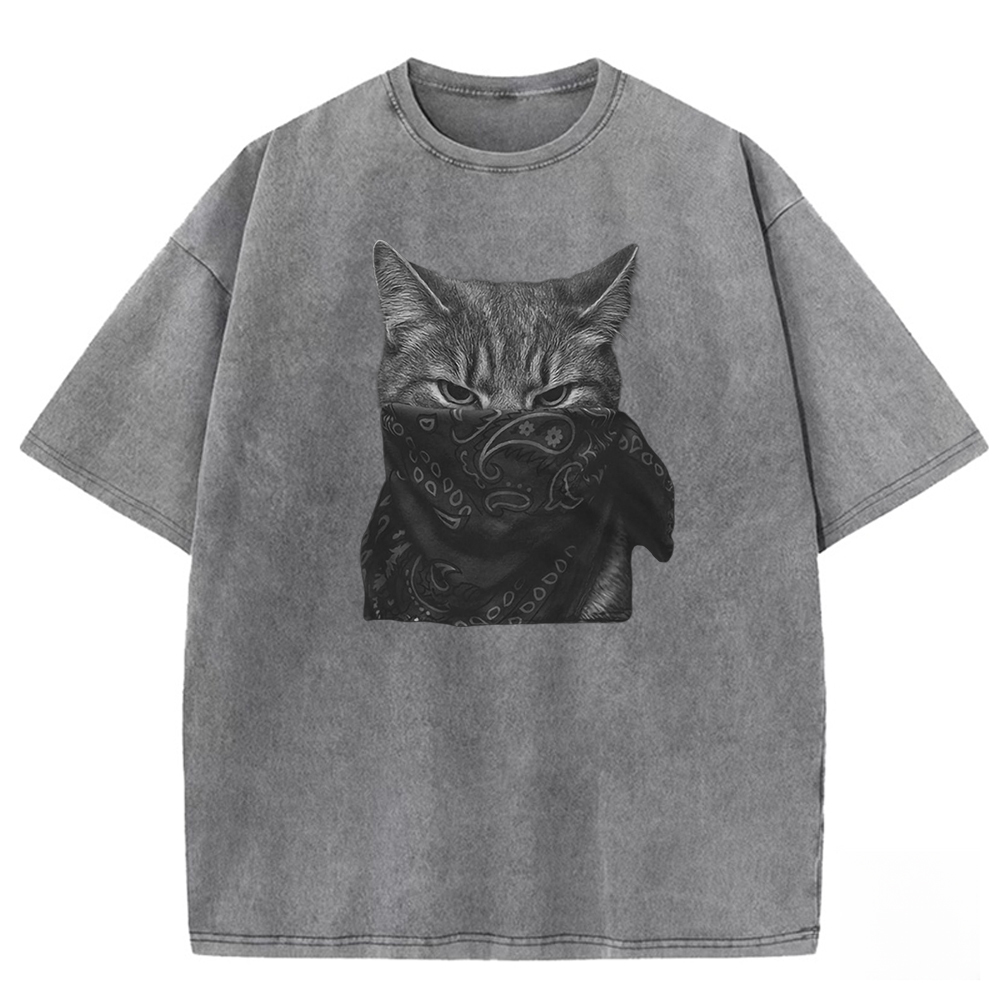 Mystic Feline Veil Washed T-shirt