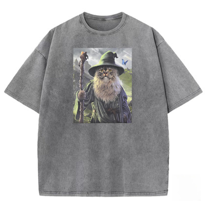 Wizard Cat Sage Washed T-shirt