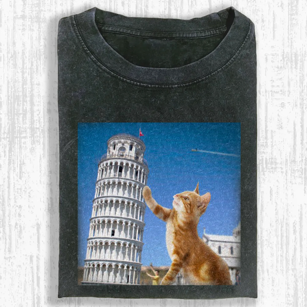 Tabby Architectural Provocateur Washed T-shirt