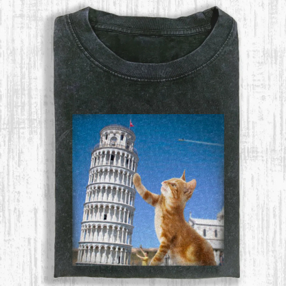 Tabby Architectural Provocateur Washed T-shirt