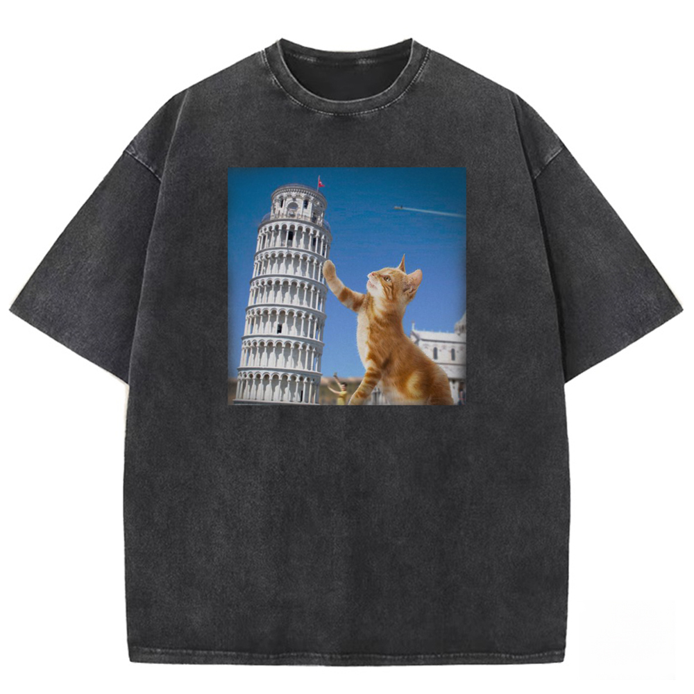 Tabby Architectural Provocateur Washed T-shirt