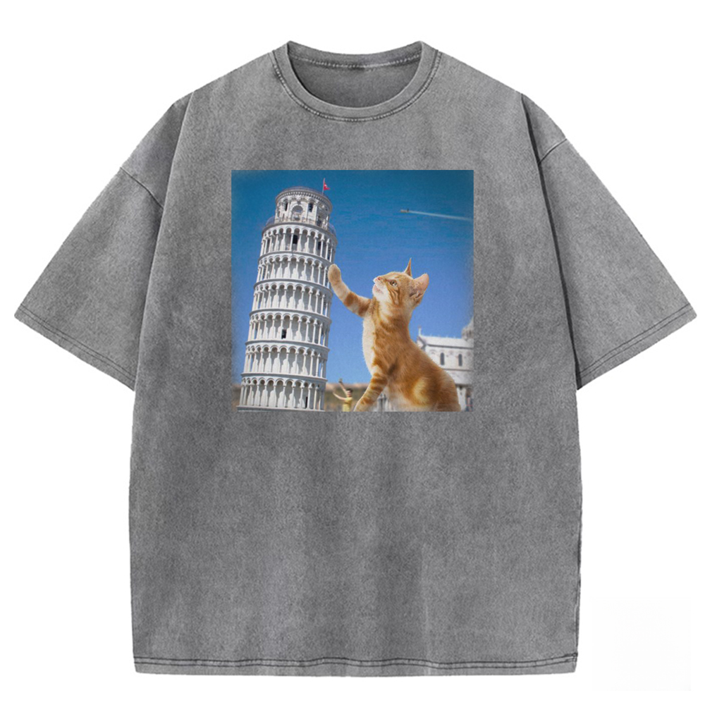 Tabby Architectural Provocateur Washed T-shirt