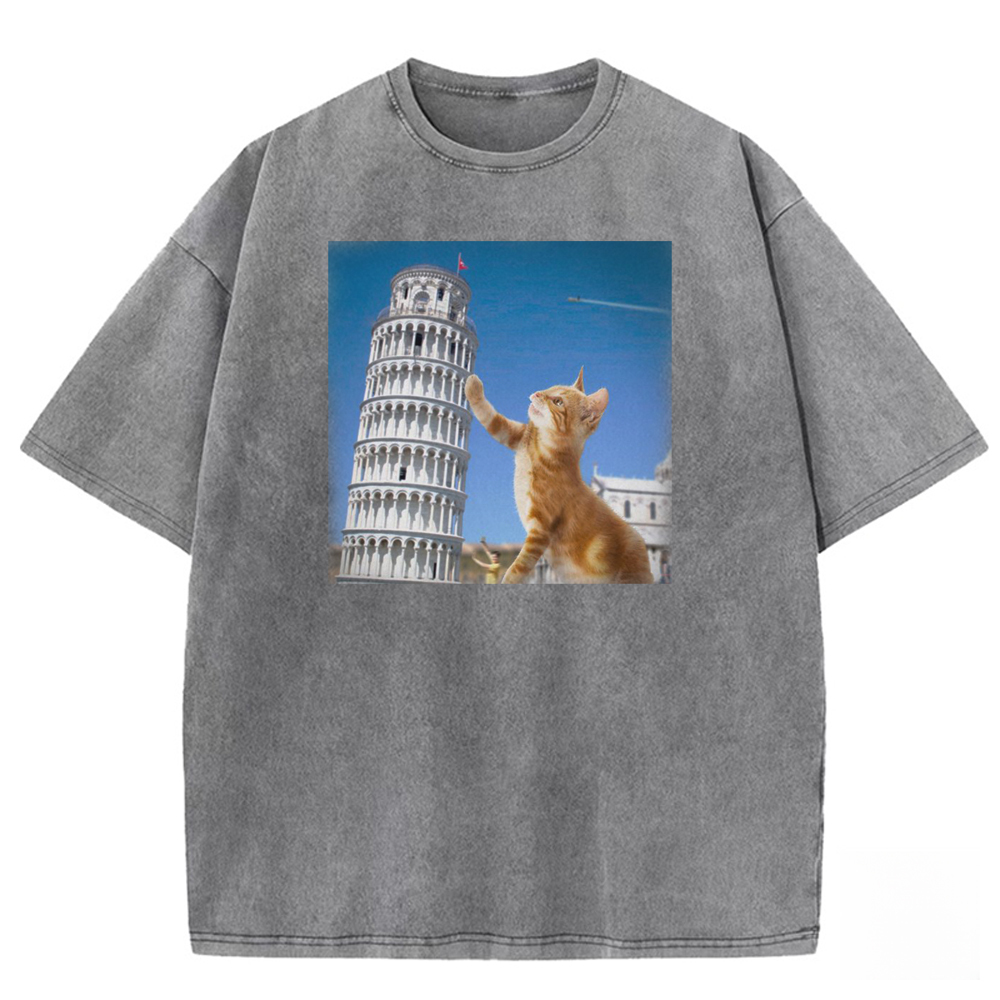 Tabby Architectural Provocateur Washed T-shirt