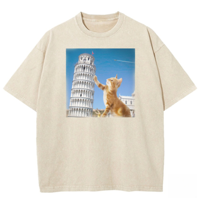 Tabby Architectural Provocateur Washed T-shirt