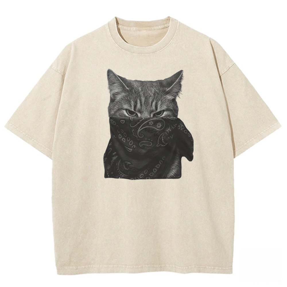Mystic Feline Veil Washed T-shirt