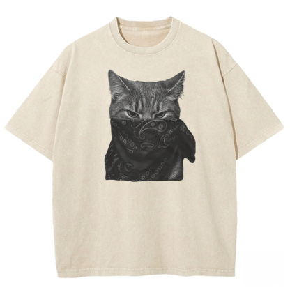 Mystic Feline Veil Washed T-shirt