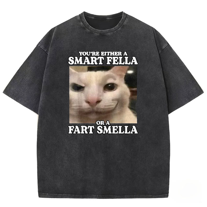 You're Either a Smart Fella Washed T-shirt