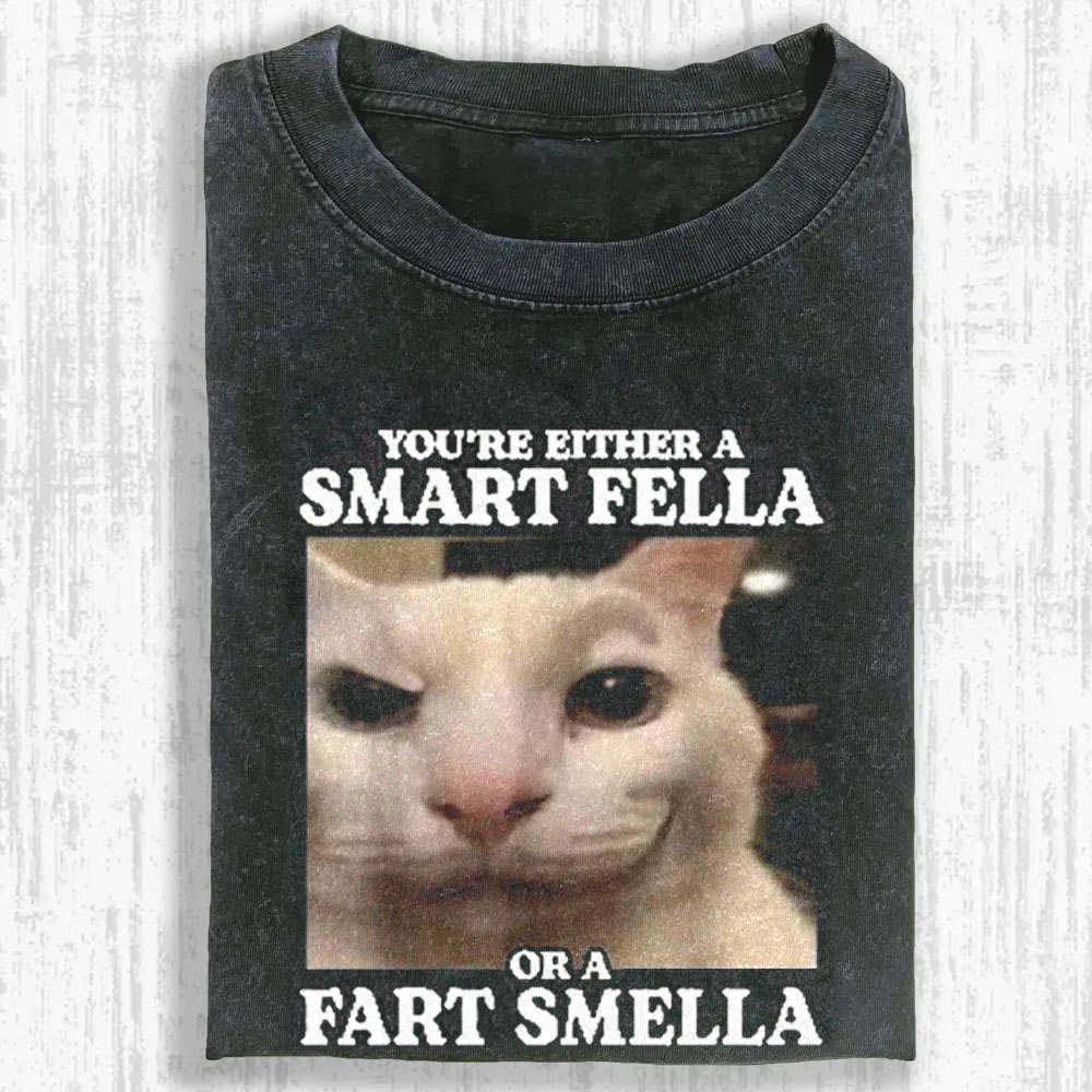 You're Either a Smart Fella Washed T-shirt