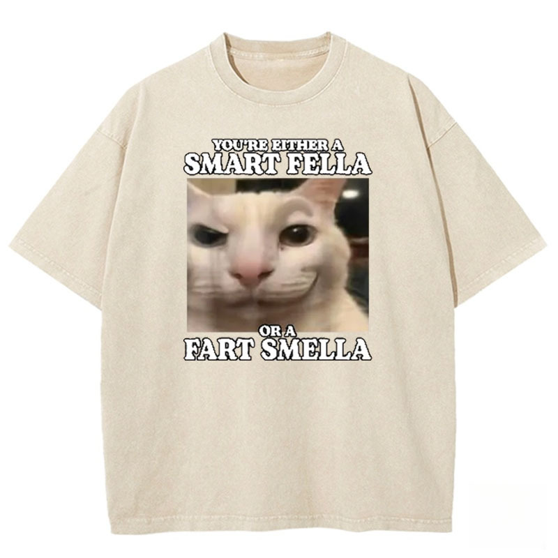 You're Either a Smart Fella Washed T-shirt