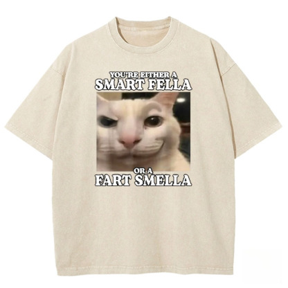 You're Either a Smart Fella Washed T-shirt