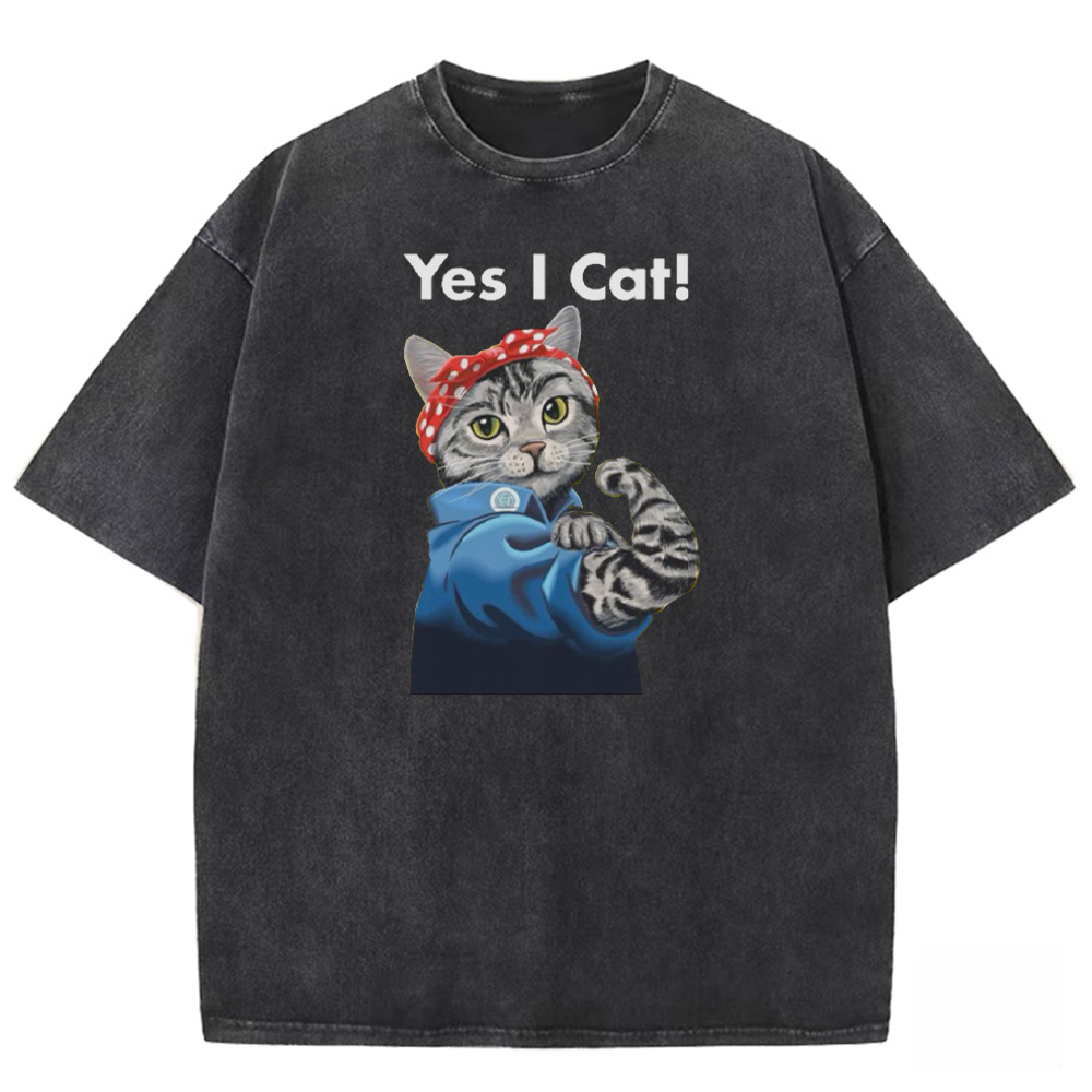 Feline Fortitude Washed T-shirt