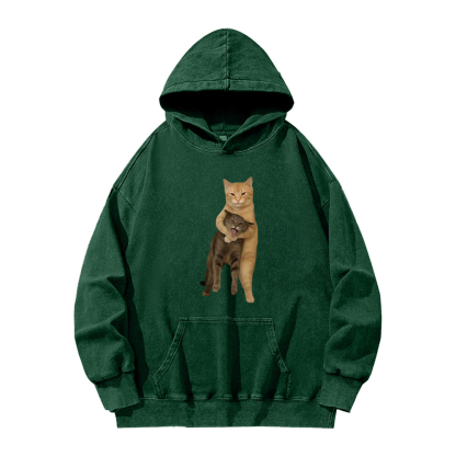 Velvet Cat Embrace Washed Hoodie