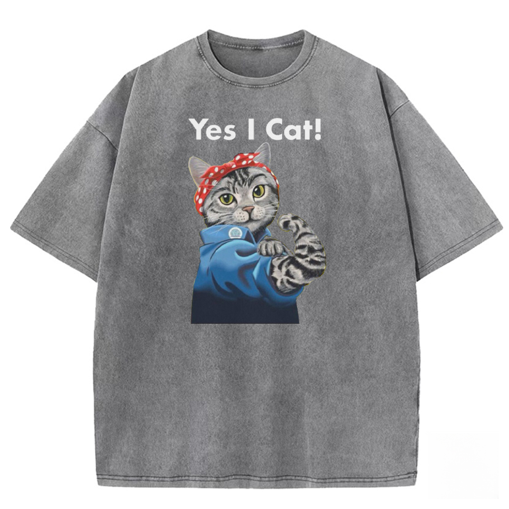 Feline Fortitude Washed T-shirt