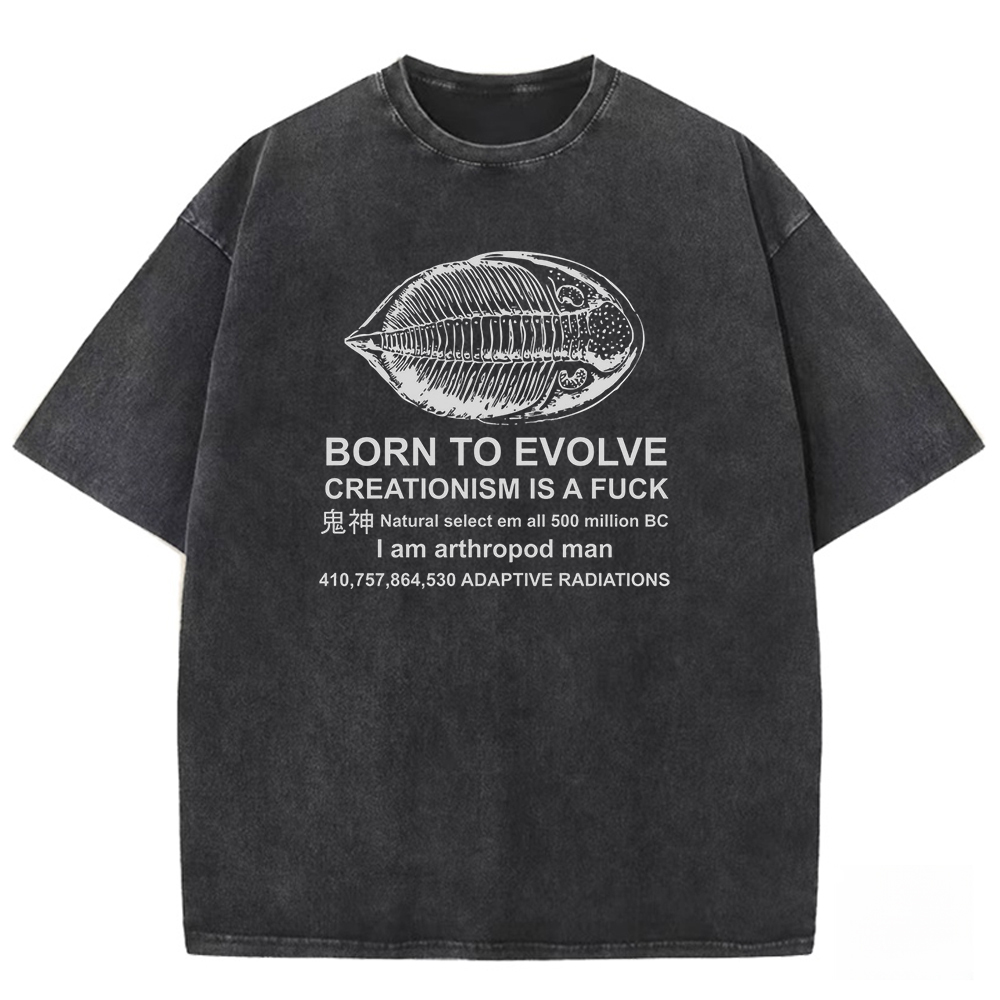 Evolution Echo Washed T-shirt