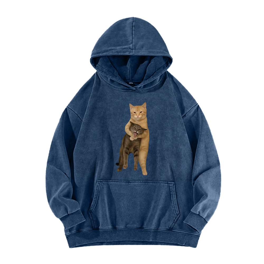 Velvet Cat Embrace Washed Hoodie