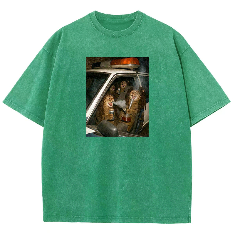 Party Patrol Cats Washed T-shirt