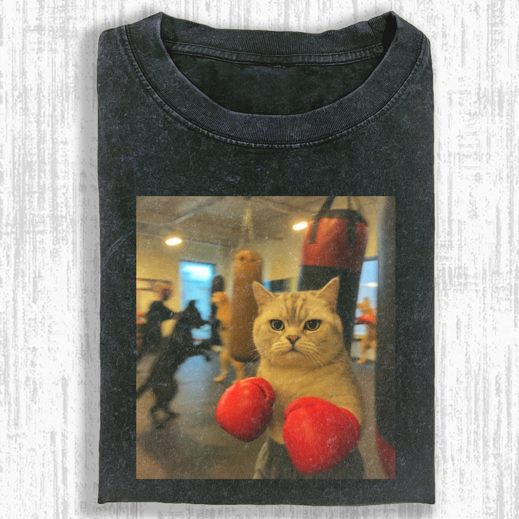 Fitness Cat Washed T-shirt