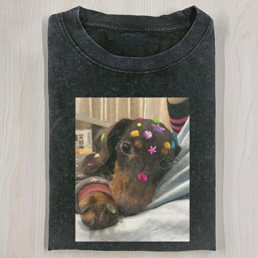 Wacky Dog Washed T-shirt