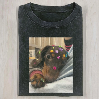Wacky Dog Washed T-shirt