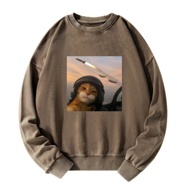 Wacky Cat Washed Sweatshirt