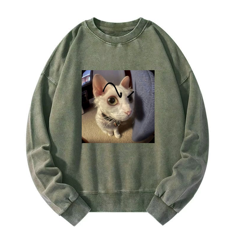 Wacky Cat Washed Sweatshirt