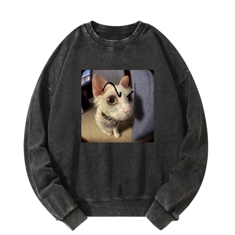 Wacky Cat Washed Sweatshirt