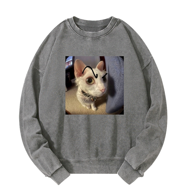 Wacky Cat Washed Sweatshirt