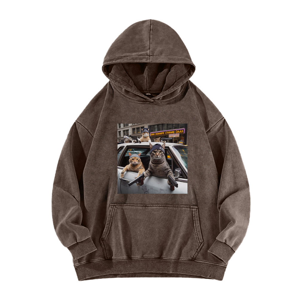 Whiskered Street Warriors Washed Hoodie