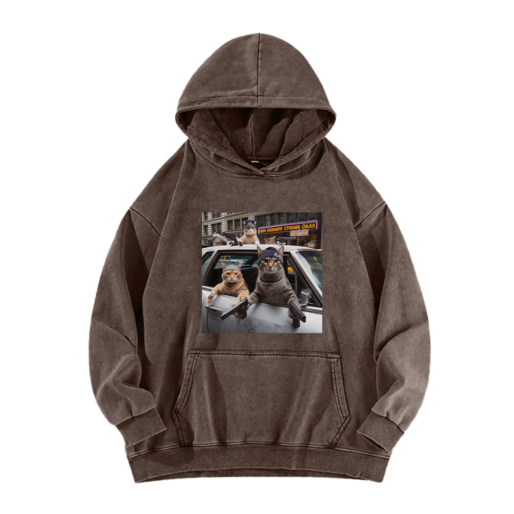 Whiskered Street Warriors Washed Hoodie