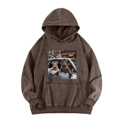 Whiskered Street Warriors Washed Hoodie