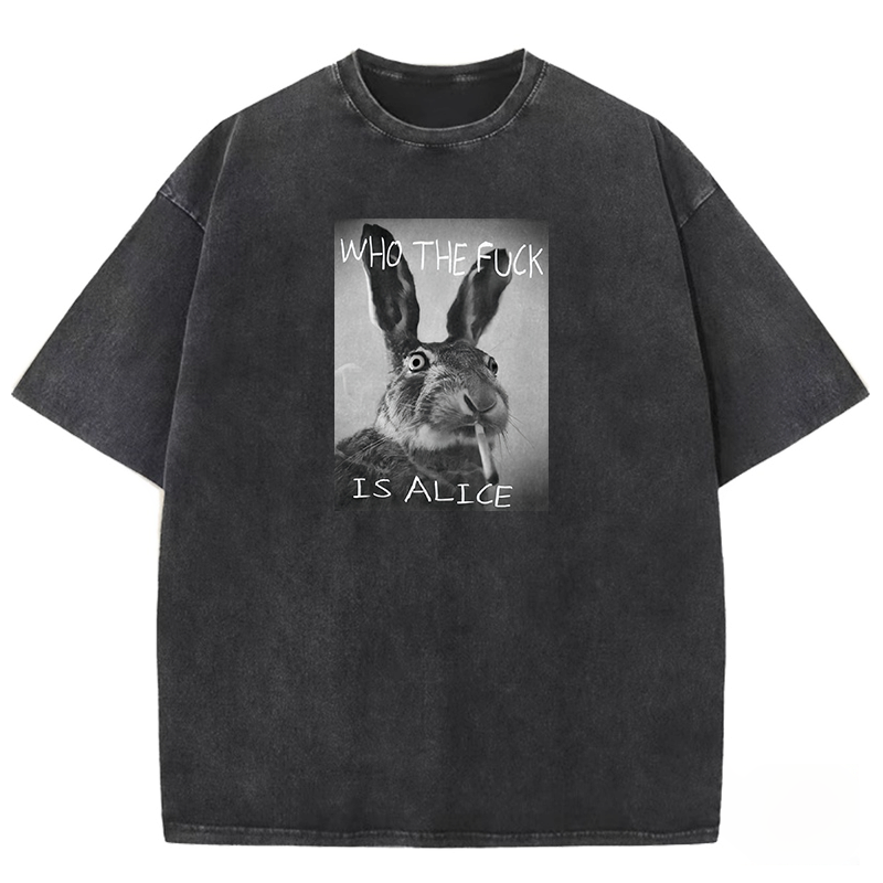 Who The Fck Is Alice Washed T-shirt