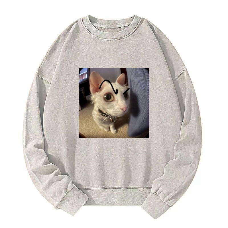 Wacky Cat Washed Sweatshirt
