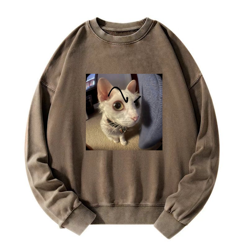 Wacky Cat Washed Sweatshirt