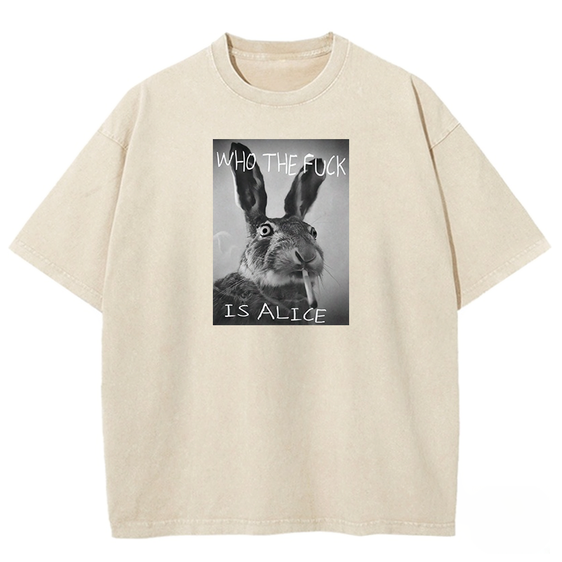 Who The Fck Is Alice Washed T-shirt