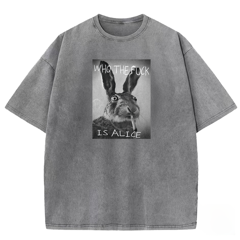 Who The Fck Is Alice Washed T-shirt
