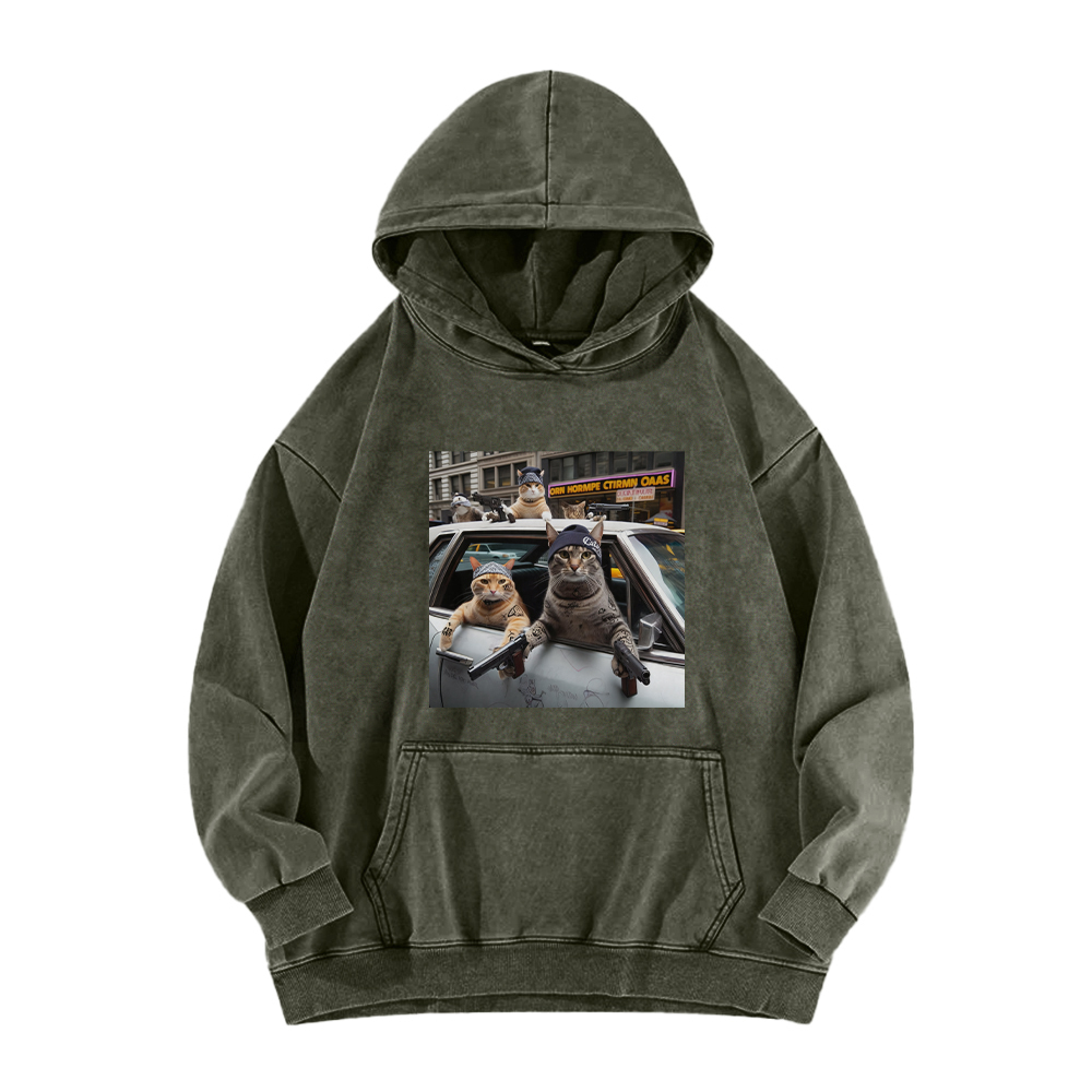 Whiskered Street Warriors Washed Hoodie