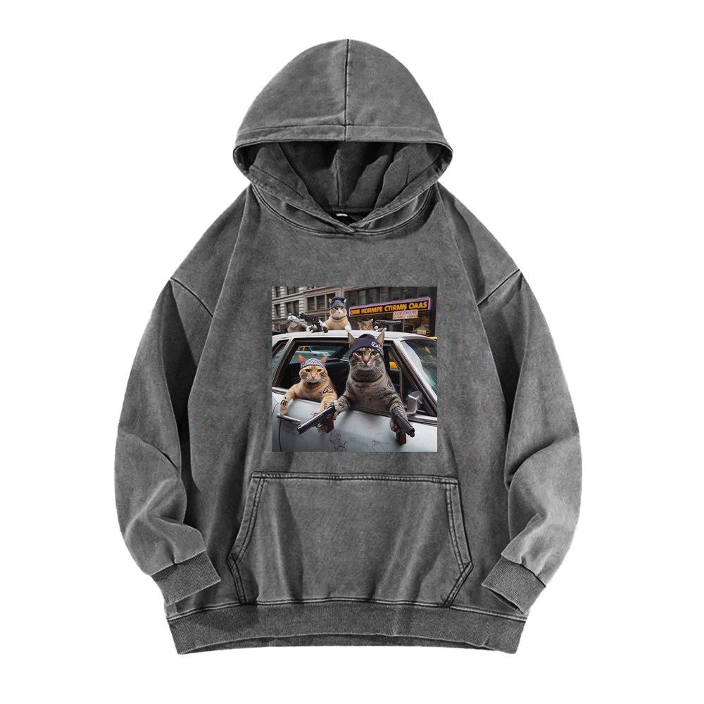 Whiskered Street Warriors Washed Hoodie