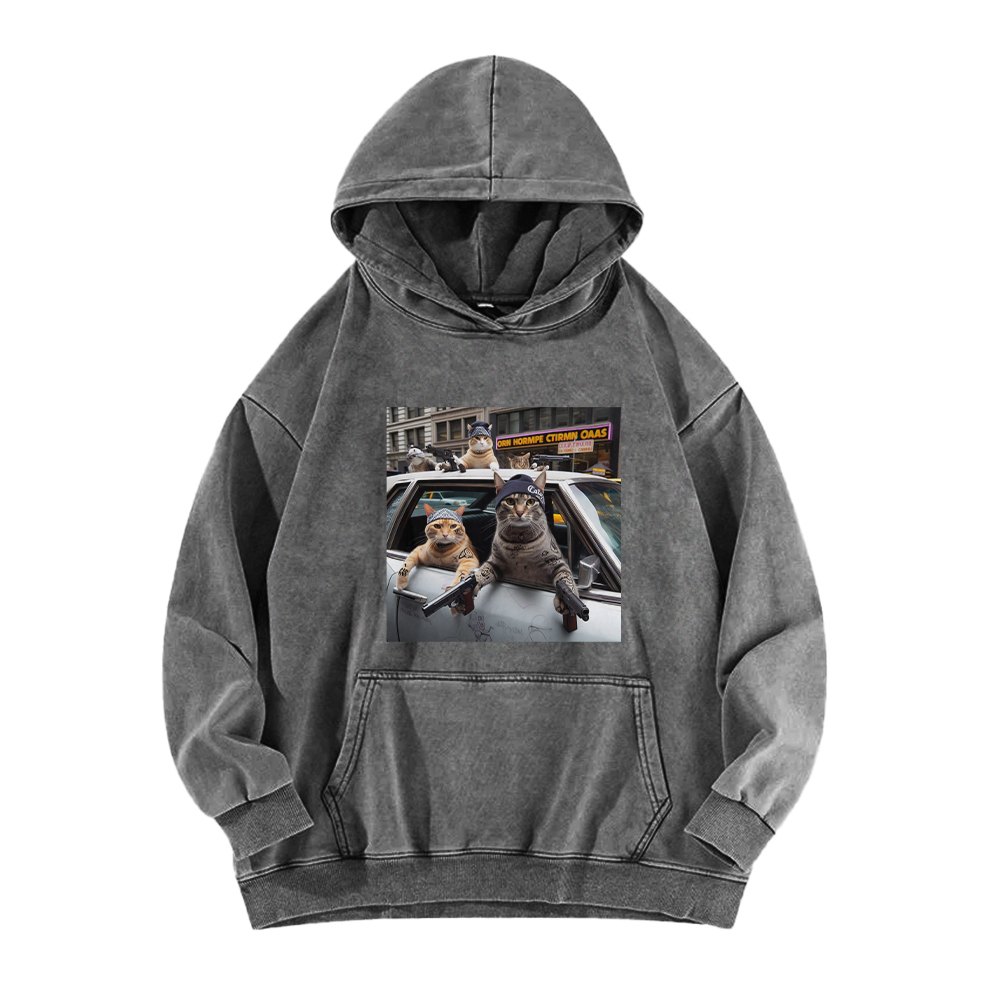 Whiskered Street Warriors Washed Hoodie