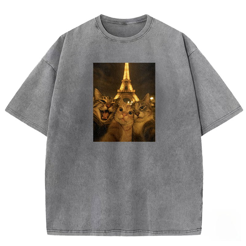 Selfie Cats Washed T-shirt