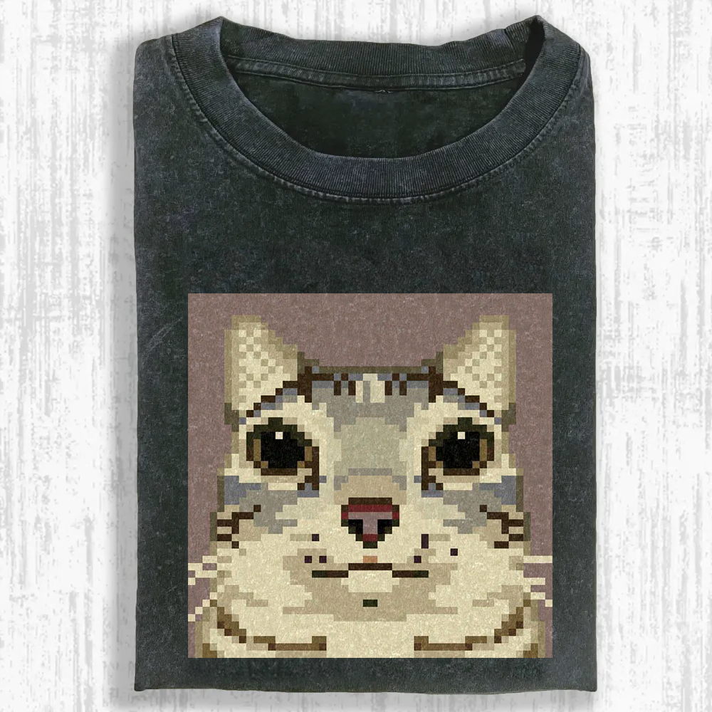 Pixel Feline Gaze Washed T-shirt