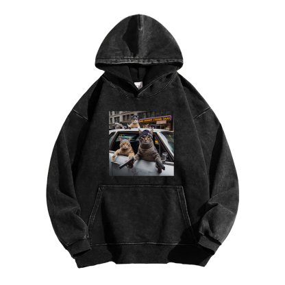 Whiskered Street Warriors Washed Hoodie