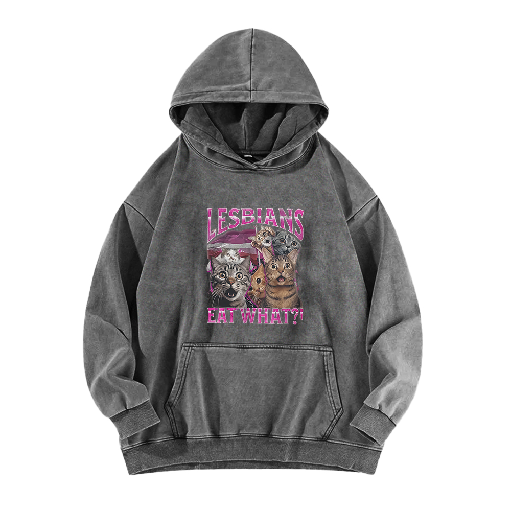 Lesbians Eat What?! Funny Washed Hoodie