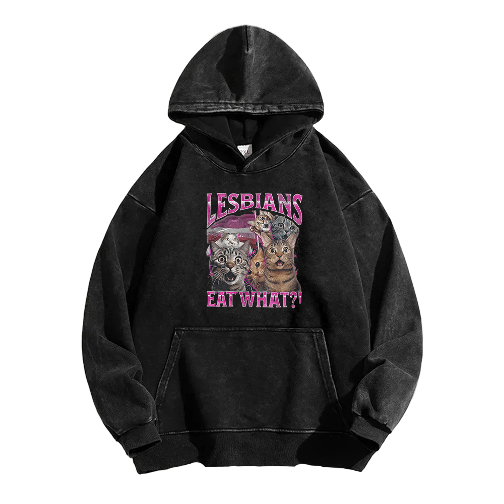 Lesbians Eat What?! Funny Washed Hoodie