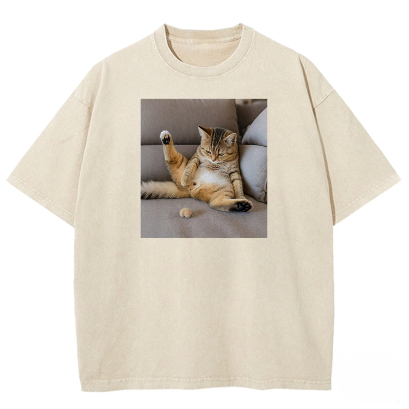 The Lost Testicles Washed T-shirt